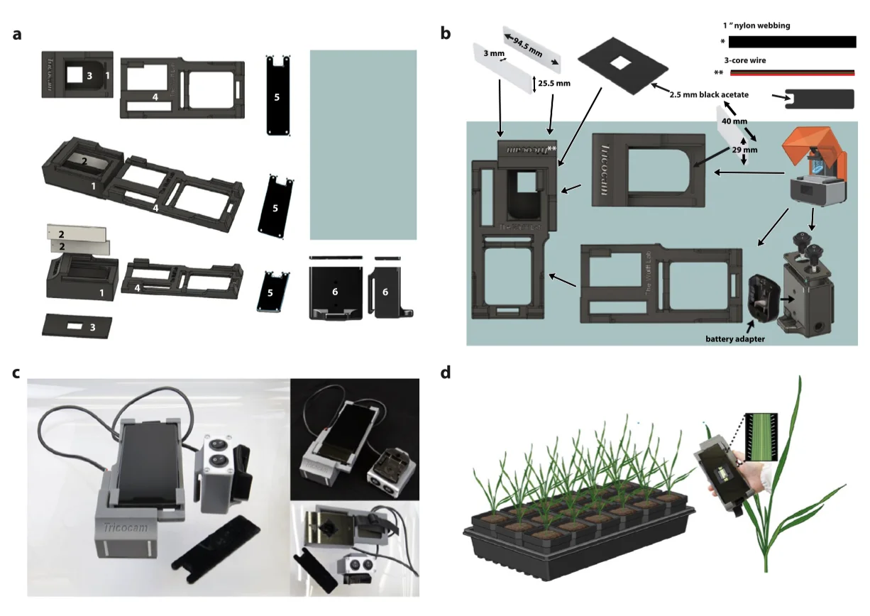 A high-throughput pipeline for phenotyping, object detection and quantification of leaf trichomes - Publication figure