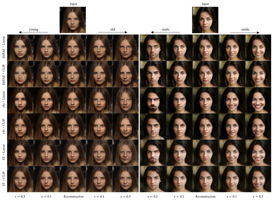 Towards Validating Face Editing Ability in Generative Models - Publication figure